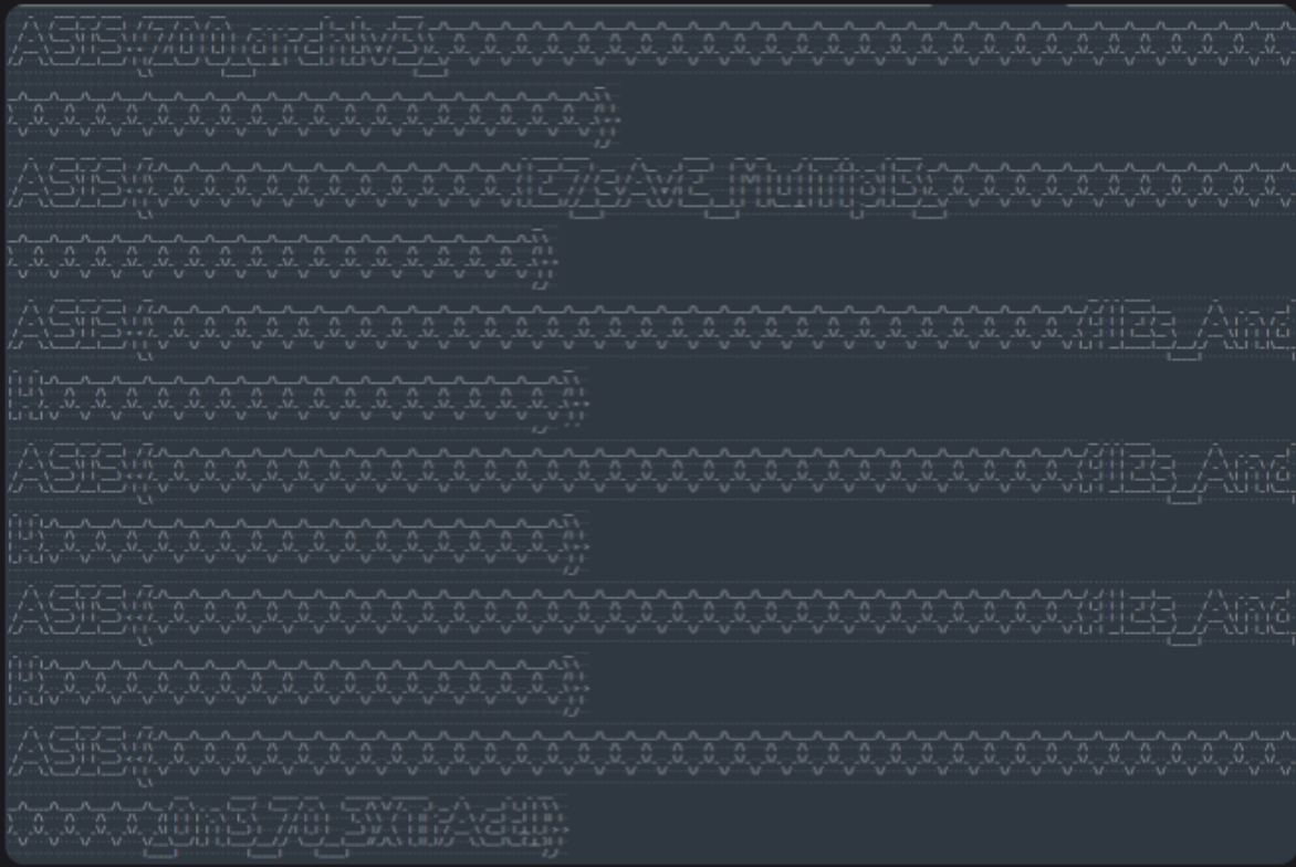 zone_of_order flag 字符画